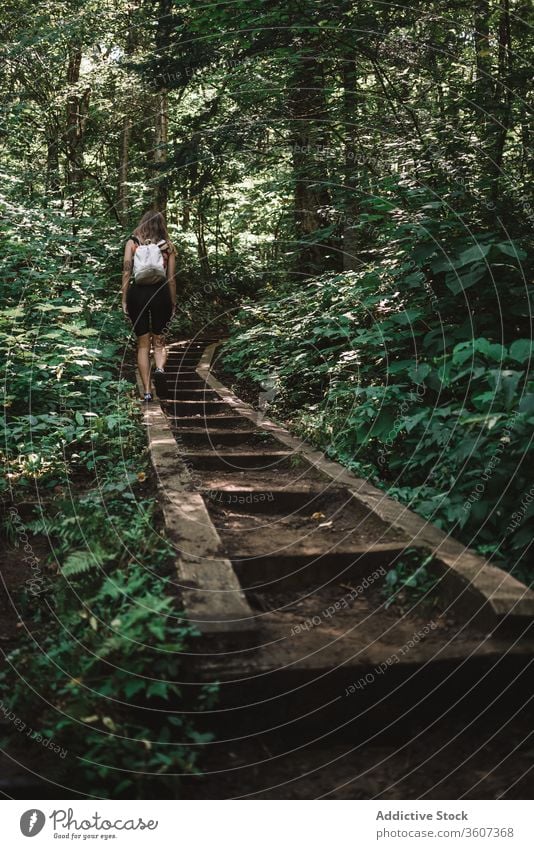 Anonymous woman walking in forest path travel explore joy weather la mauricie national park quebec canada female backpack lumber green nature tree adventure