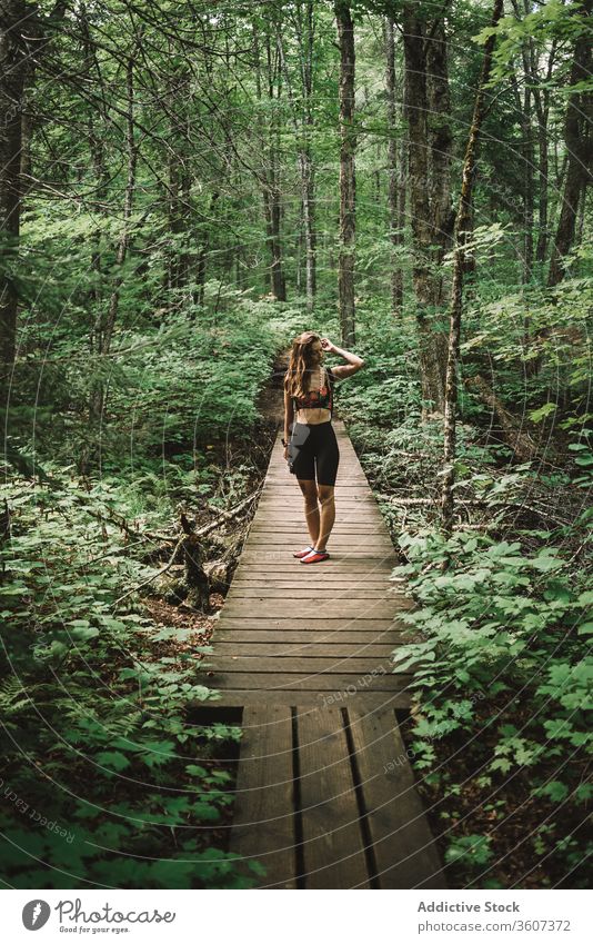 Female traveler on wooden path in forest woman explore joy weather la mauricie national park quebec canada female backpack lumber green nature tree adventure
