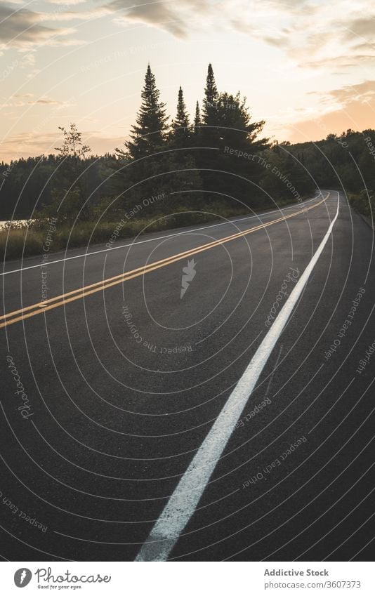 Asphalt road near lake and forest in evening sunset sky cloudy nature national park la mauricie quebec canada asphalt peaceful green calm tranquil countryside