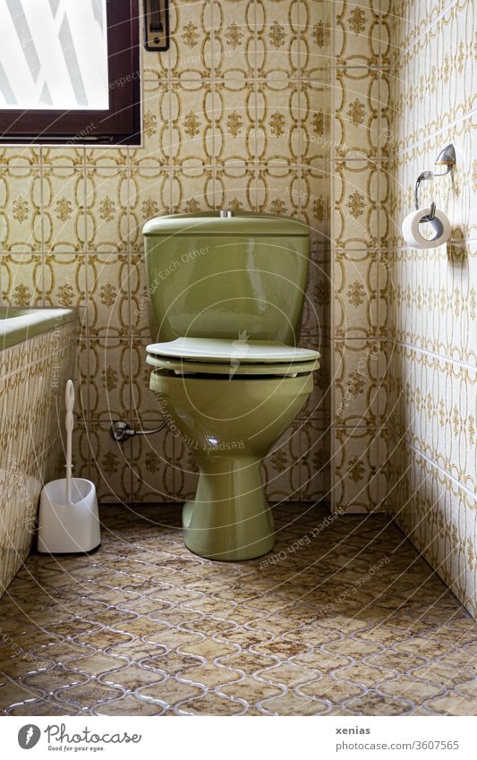 old / green toilet between discreetly coloured tiles in retro look Toilet Old LAVATORY Retro Green bathroom Bathroom john toilet brush Bathtub Former 00 then