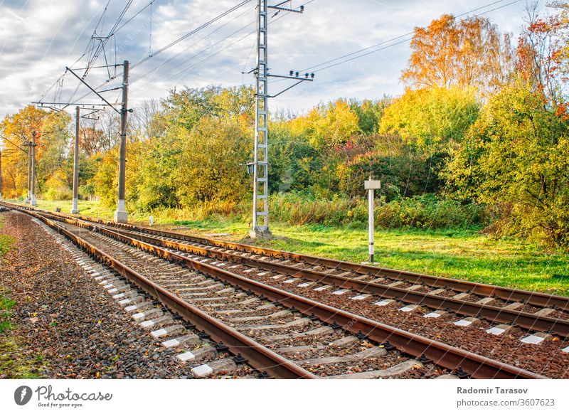 Railway in autumn forest Nature Forest Autumn To fall rail foliage Landscape Yellow tree Holiday season leaves pennant natural Orange Sunlight already Outdoors