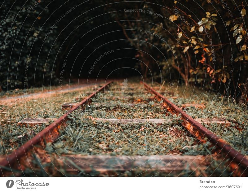 Railroad Tracks in Autumn railroad railway train track travel transportation tracks rails autumn steel nature forest line fall landscape journey path metal