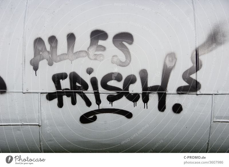 Graffiti "ALL FRESH" Daub Damage to property Fresh District heating pipe