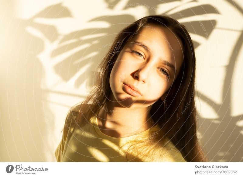 Play of light and shadow portrait young caucasian cute girl with brown hair inside the house. beautiful face background happy beauty clean eyes female people