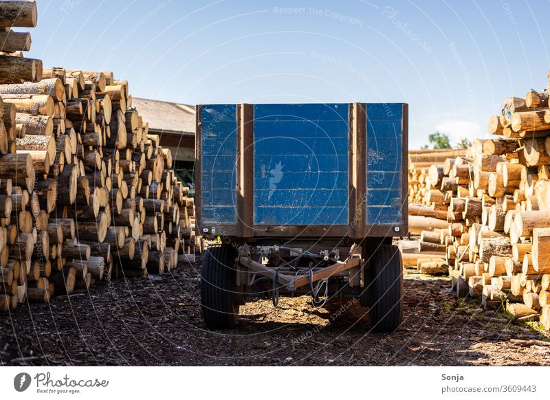 A blue trailer between two piles of wood, wood processing, transport Trailer Blue logs Sky Landscape Beautiful weather Transport Colour photo Environment
