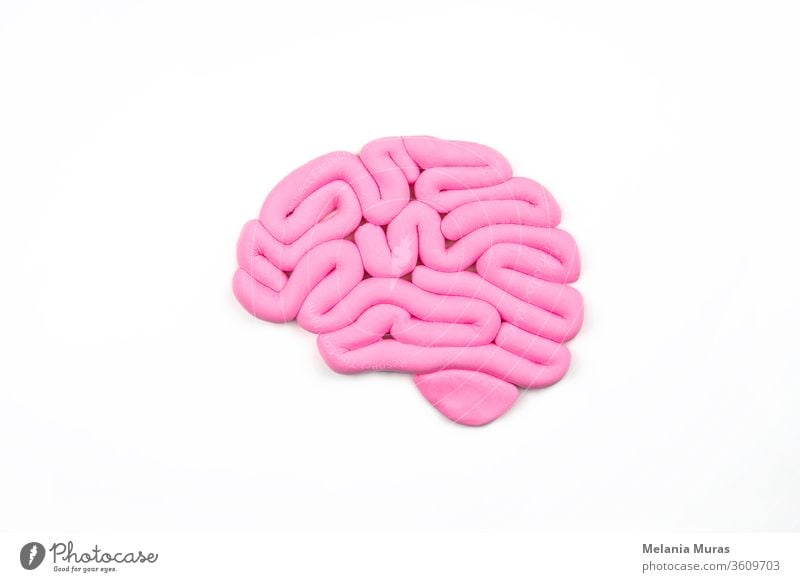 Model of pink human brain on white background. Profile view, flat lay. Intelligence concept. abstract anatomy artificial intelligence biology brain cancer