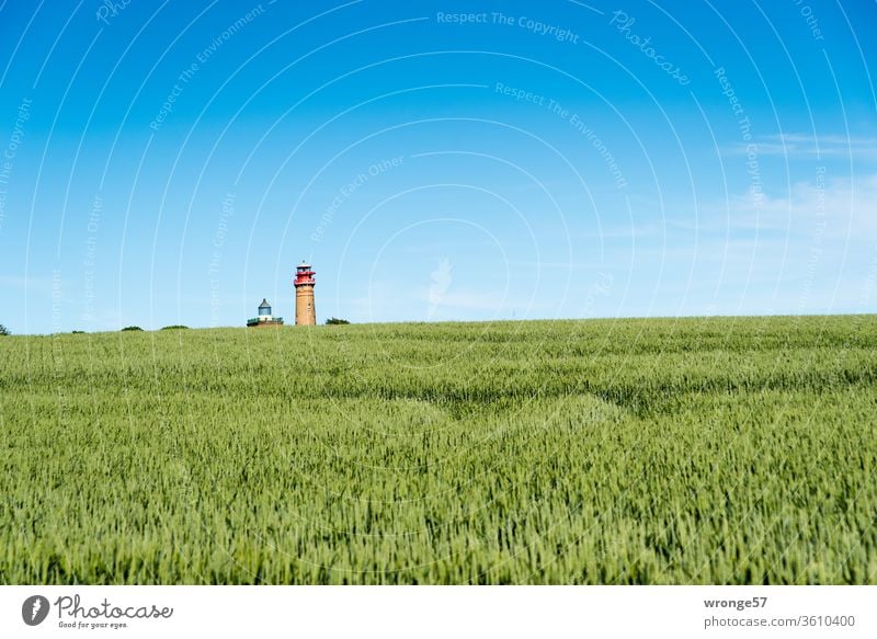 The two lighthouses at Cape Arkona tiny little behind a green cornfield on the horizon Lighthouse Schinkel lighthouse new lighthouse Navigation mark Cap Arcona