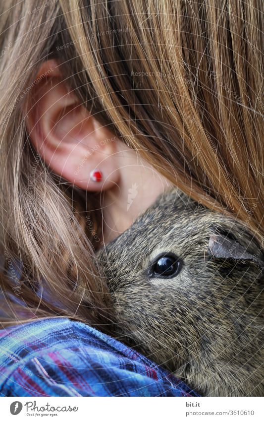 mouse's favorite person... Guinea pig Child Infancy Shoulder Ear Hair and hairstyles Strand of hair Hairy Earring Head Face Human being Skin girl feminine Soft