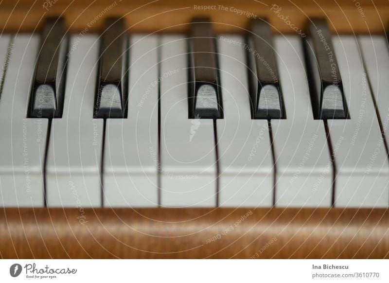 Seven White And Five Black Piano Keys Surrounded By The Light Brown Wood Of The Piano Photographed From The Player S Side A Royalty Free Stock Photo From Photocase