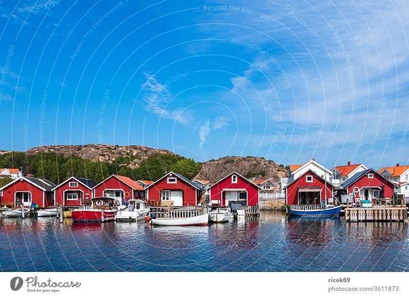 View of the town of Hamburgsund in Sweden archipelago archipelago garden Ocean Coast North Sea Skagerrak Harbour boat ship Motorboat Water Tourism Sky Clouds