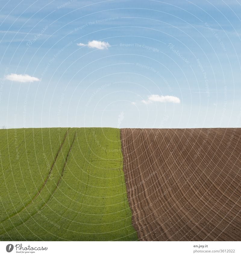 Field and field on the hill to the horizon under a blue sky acre Agriculture agrarian Horizon extension Tractor track Plowed hillock okö Earth Sky green rural