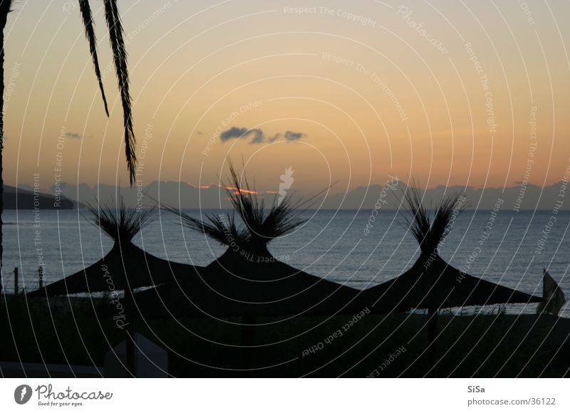 Palm Beach Sunrise Sunshade Ocean Morning