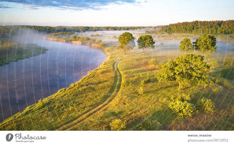 Sunlight on large oak trees grove in morning. Aerial view fog summer landscape sunrise dawn sunlight mist aerial nature green meadow river riverbank water road