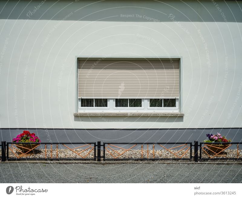 House wall with two flower pots house wall flowers Flowerpot Fence Window roller shutter piefig Garden House (Residential Structure) Facade Deserted