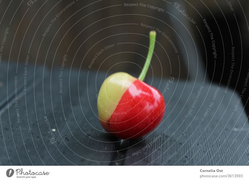 The colours of nature. Cherry partly ripe, partly still green fruit Delicious Red Food Colour photo Fresh Exterior shot Summer Garden Harvest Nature Seasons