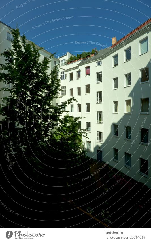 Inner courtyard in the morning light Old building on the outside Fire wall Facade Window House (Residential Structure) Sky Sky blue rear building Backyard