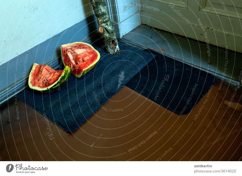 Melon in the stairwell waste Derby Landing sales organic House (Residential Structure) Apartment house Deserted apartment building Stage Copy Space Stairs