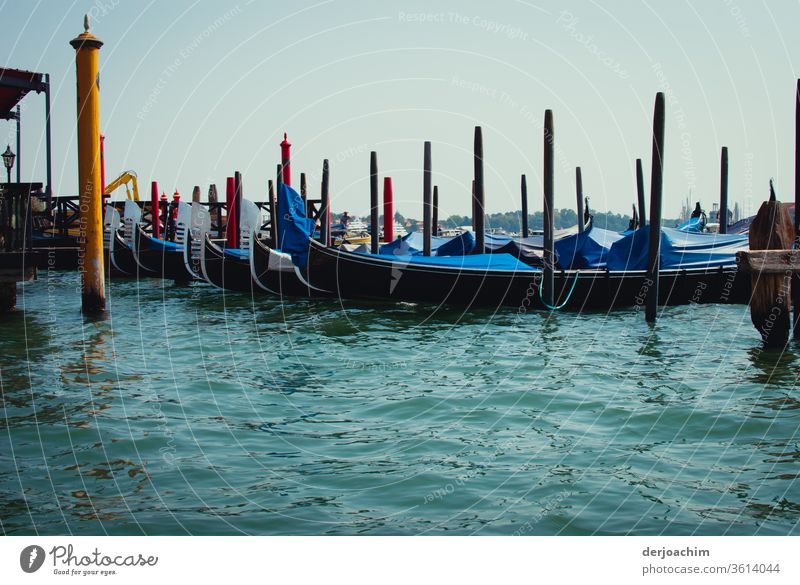 The gondolas splash in the blue calm water. They are attached to wooden poles. Exterior shot Colour photo Nature Deserted Day Venice Tourism Vacation & Travel
