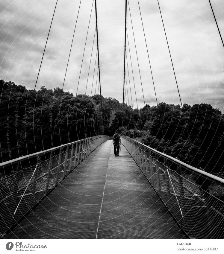 A hiker crosses a suspension bridge which leads him into a dark forest. Bridge construction Suspension bridge Lake Rursee Eifel Tourism Tourist Hiking
