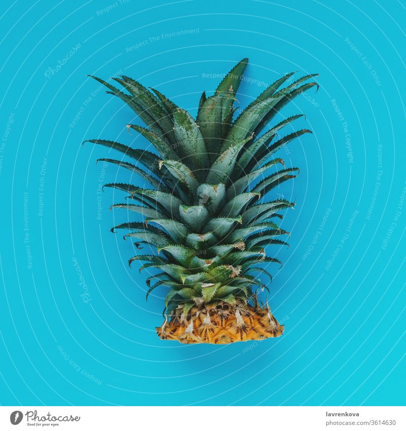 Premium Photo  A blue pineapple with a large head and leaves on it.