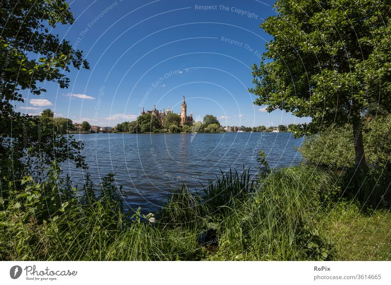 Schwerin lake with castle on a summer day. Lake Forest Edge of the forest autumn bush shrubby wood Nature Habitat nature conservation Environment