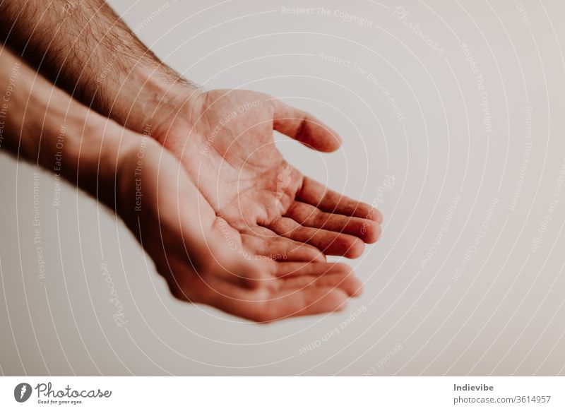 Two clean hands are begging for something with visible palm isolated human child people white friendship care finger two closeup shake person hold support faith