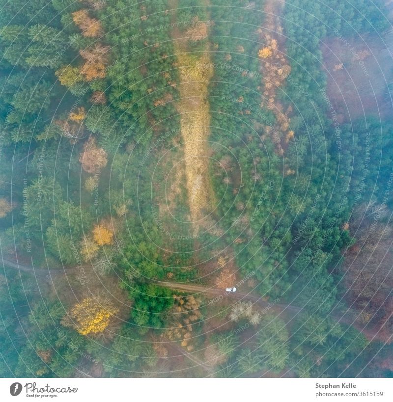 Top view at a foggy forest with a white parking car at a country side road. drone green nature aerial landscape tree smoke natural stream mist high above