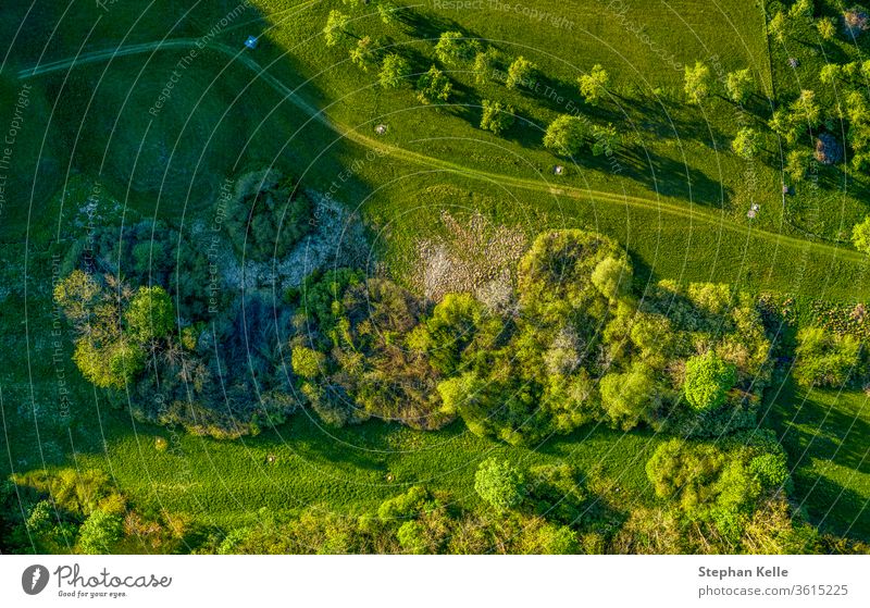 Drone shot at a green countrysided path through grassy meadows, where you can enjoy a healthy walk at the fresh air. drone tree nature landscape environment