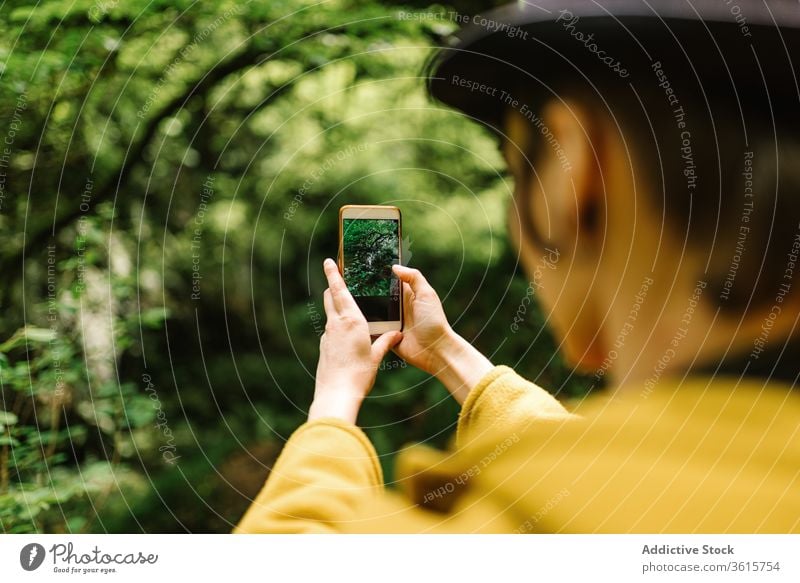 Traveling woman taking photo on smartphone in woods take photo travel forest using nature tourist androgynous female asturias spain holiday greenery lush