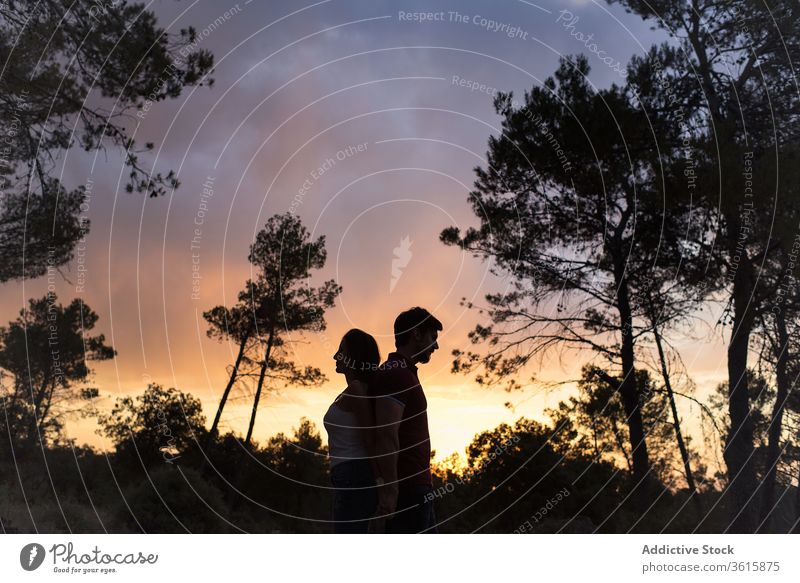 Couple in love in forest during sundown back to back couple together unity sunset holding hands tender dark amazing relationship romantic nature woods sky enjoy