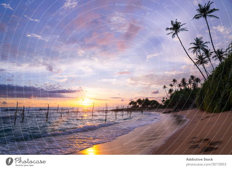 Spectacular sundown over sea on tropical beach sunset stilt stick amazing scenery coast palm fishing tradition spectacular nature sky ocean shore water summer