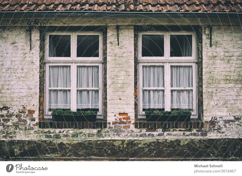 Two windows of an old house in northern Germany Window Architecture House (Residential Structure) Apartment Building Deserted Colour photo Wall (building)