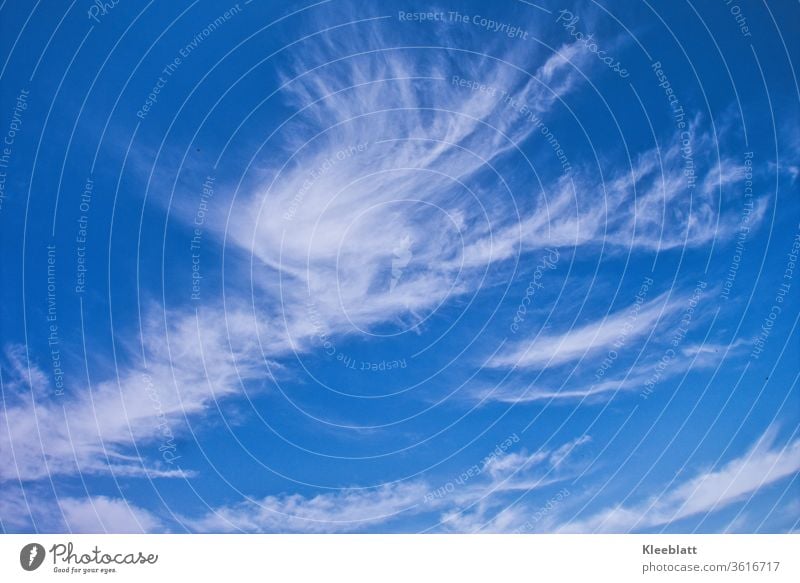 Cloud formation angelic white on a deep blue sky in sunshine Cloud formation, Clouds in the sky Beautiful weather Nature Sky Day Weather Blue Cloud pattern