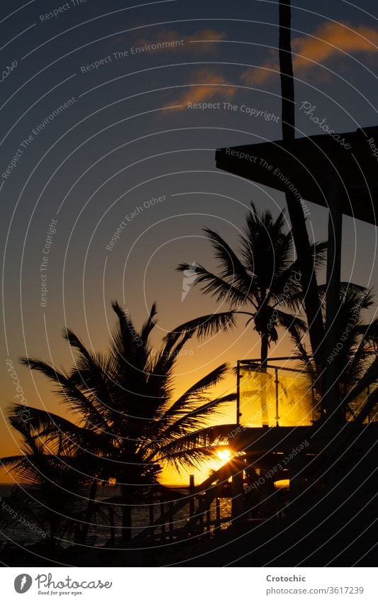 Silhouette of a cabin and palm trees in front of the sea during a sunset vertical hotel house building silhouette sky background beautiful island tropical