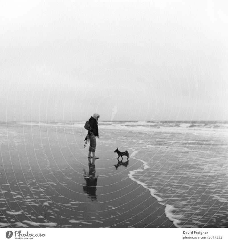 Woman takes her dog for a walk on the beach at the North Sea. Analogue film photography Dog Beach Ocean Sand Water Coast Horizon Clouds Waves Mud flats