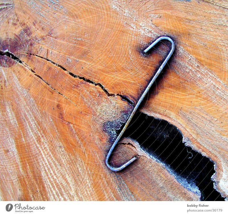 cohesion Wood Iron Letters (alphabet) Tree Haircut Orange Crack & Rip & Tear