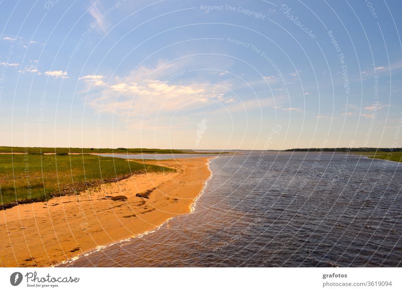 Red-Cove-Blue-Water blue water Bay Beach Tourism holidays Ocean Vacation & Travel Beautiful weather Coast Summer Exterior shot Colour photo Nature Landscape