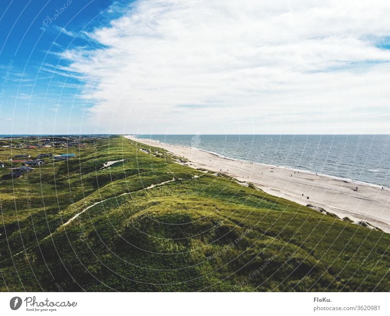 Dunes on the Danish North Sea coast in summer Denmark Nature Landscape Horizon ultra robbery Tourism Coast coastal landscape dunes Marram grass Beach Relaxation