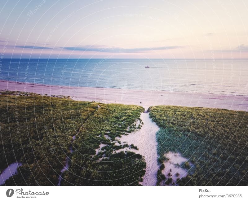 View over the dunes of West Jutland North Sea Denmark Nature Landscape Horizon ultra robbery Tourism Coast coastal landscape Marram grass Beach Relaxation