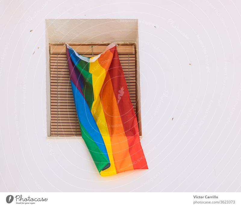 lgtbi pride flag on a balcony colorful flight city human rights air lgbt movement high signs modern nobody celebrate travesty waving outdoors flying bisexual
