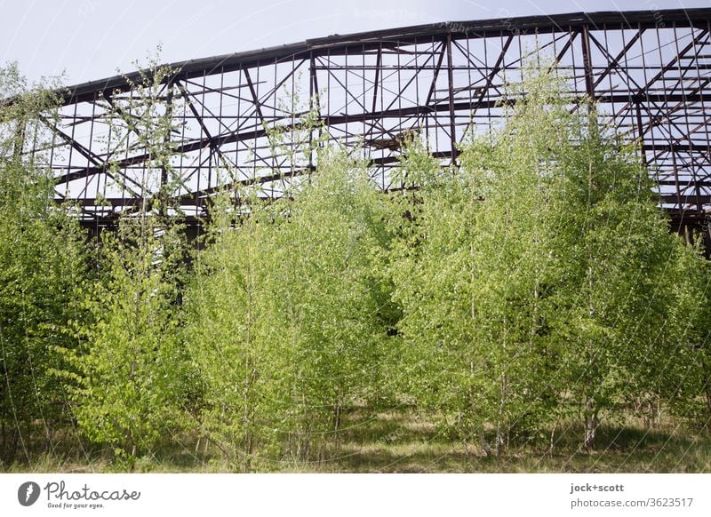 rusty dilapidated hangar with lots of fresh green in front of it lost places Hangar Nature Deciduous tree Broken Transience Old Decline Architecture Ruin