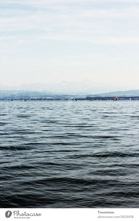 Sailing boats on Lake Constance and behind it hills and mountains Water Waves Horizon sailboats hillock Mountain Sky Clouds Blue Landscape Nature
