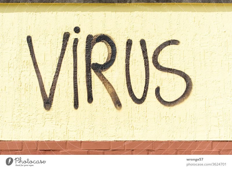 The word VIRUS sprayed in large black letters on a yellow wall Word Graffito Virus black color Spray Wall (building) Wall (barrier) upper-case letters Graffiti