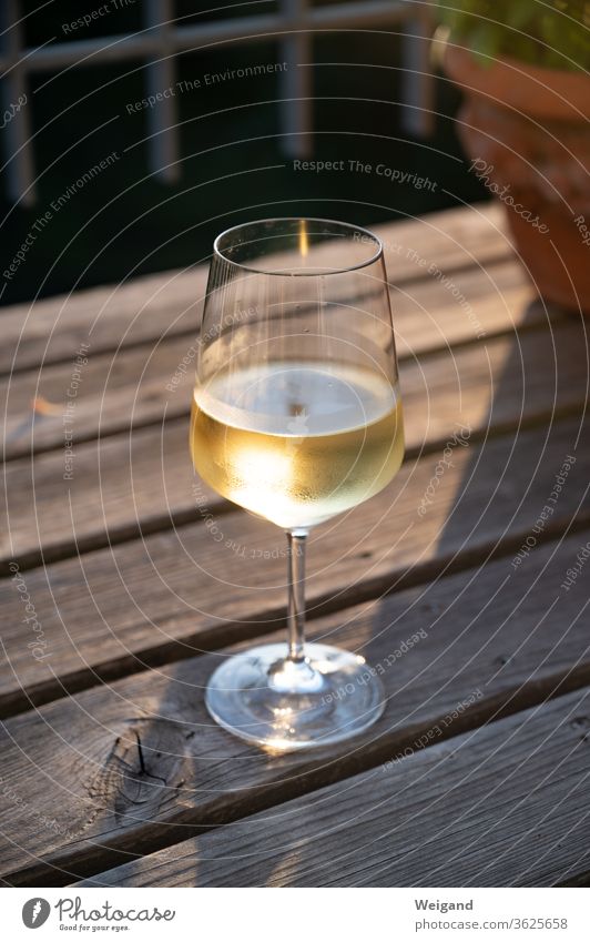 Wine glass with white wine Vine White wine Sunset Gold To enjoy Alcoholic drinks chilly Beverage Summer vacation Evening enjoyment Life Delicious silvaner