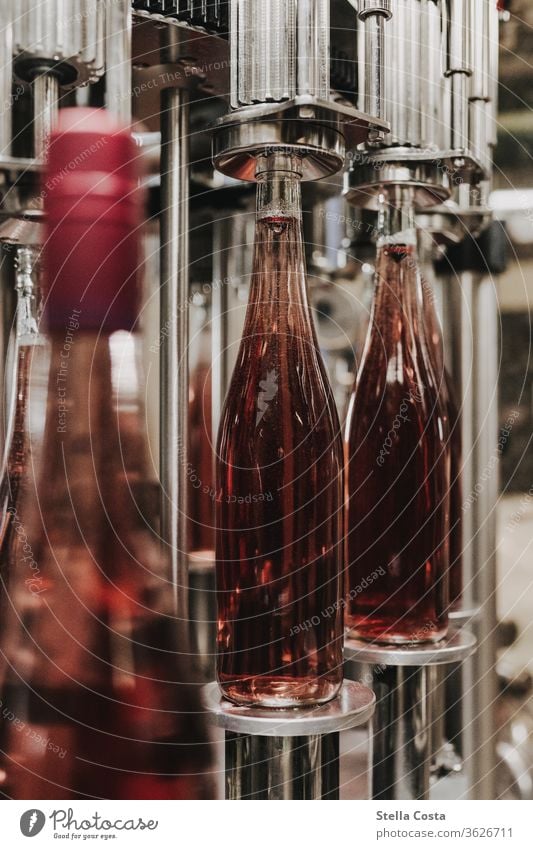 Detail picture of a wine bottling in the wine cellar Interior shot Vine Winegrower Alcoholic drinks Deserted Colour photo Shallow depth of field Close-up