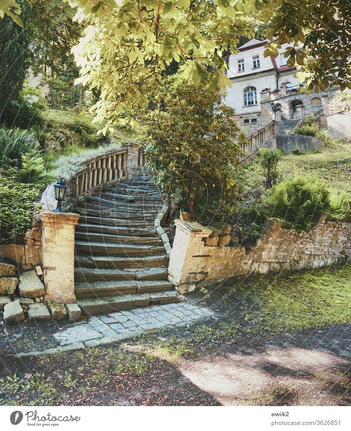 stairwell Stairs Banister Stone Old Historic Tourist Attraction Colour photo Subdued colour Deserted Sunlight Long shot Park Garden Villa Palace Grand