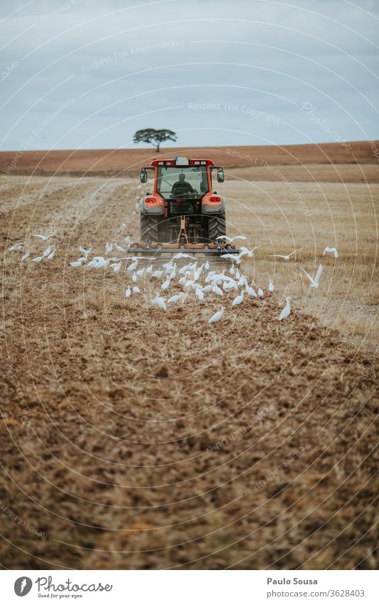 tractor plowing field Plow Plowed Agriculture Agricultural crop Field Earth Nature Brown Landscape Autumn Deserted agricultural Growth land Horizon Sky Plant