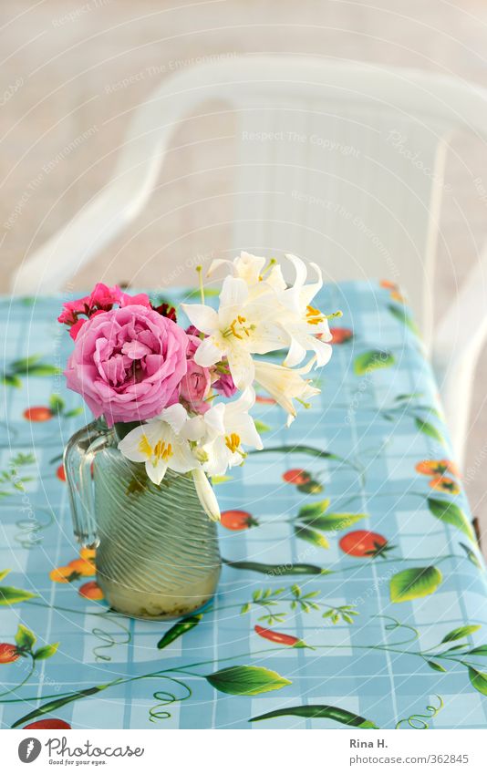 Even more flowers Chair Table Blossoming Authentic Bright Blue Multicoloured Pink Red Calm Tablecloth Glass pitcher Vase Plastic chair Terrace Rose Lily