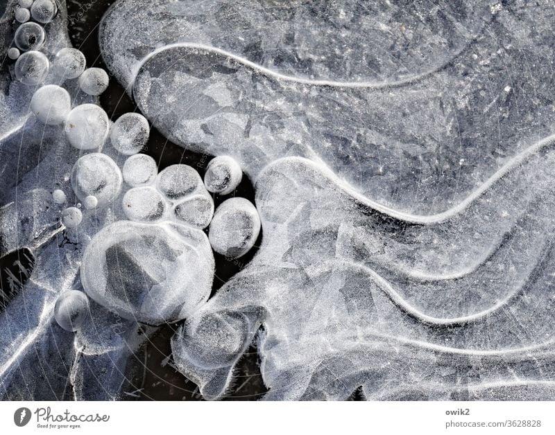 Cold track Environment Nature Winter Ice Frost Waves Freeze chill Frozen Line Sphere Close-up Exterior shot Air bubble Detail Abstract Pattern