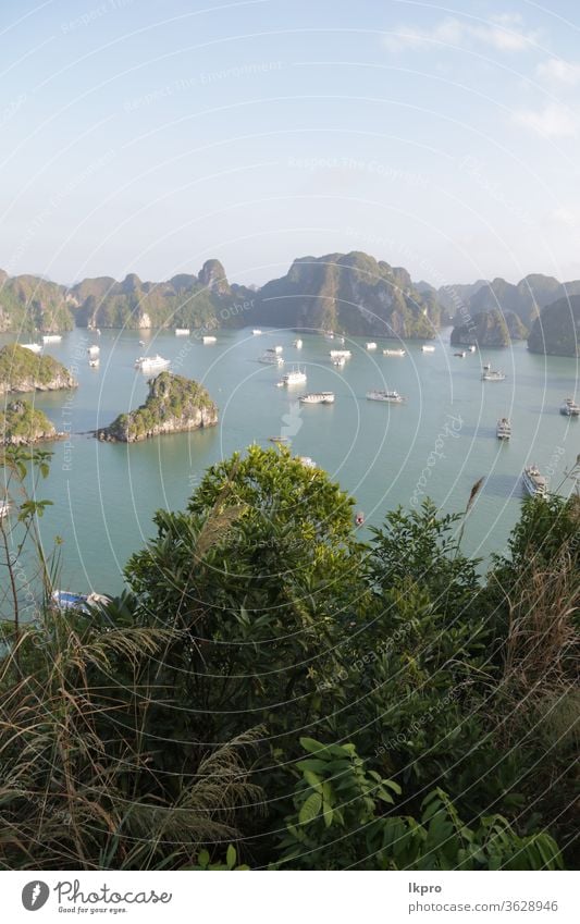 the beauty of amazing nature tourist destination vietnam sea bay asia travel water halong landscape ocean island rock boat vacation seascape tourism mountain